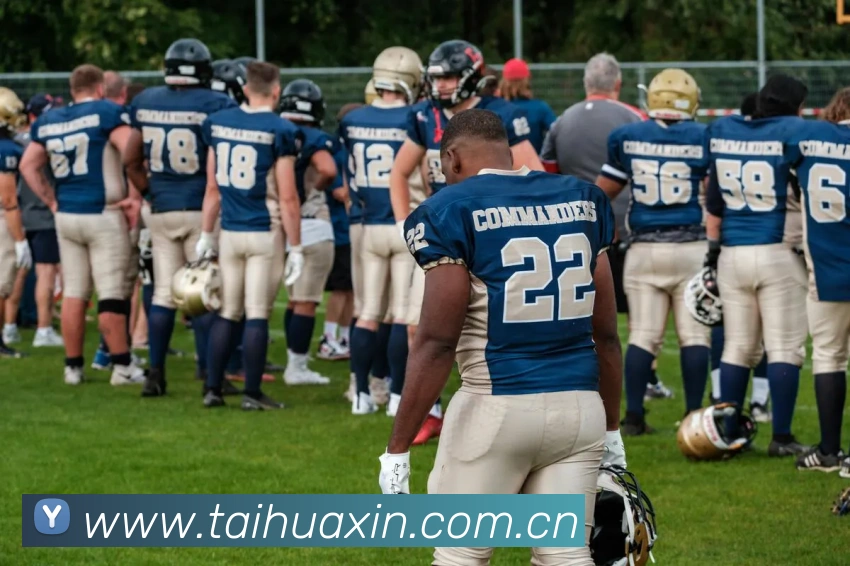 多媒体互动体验